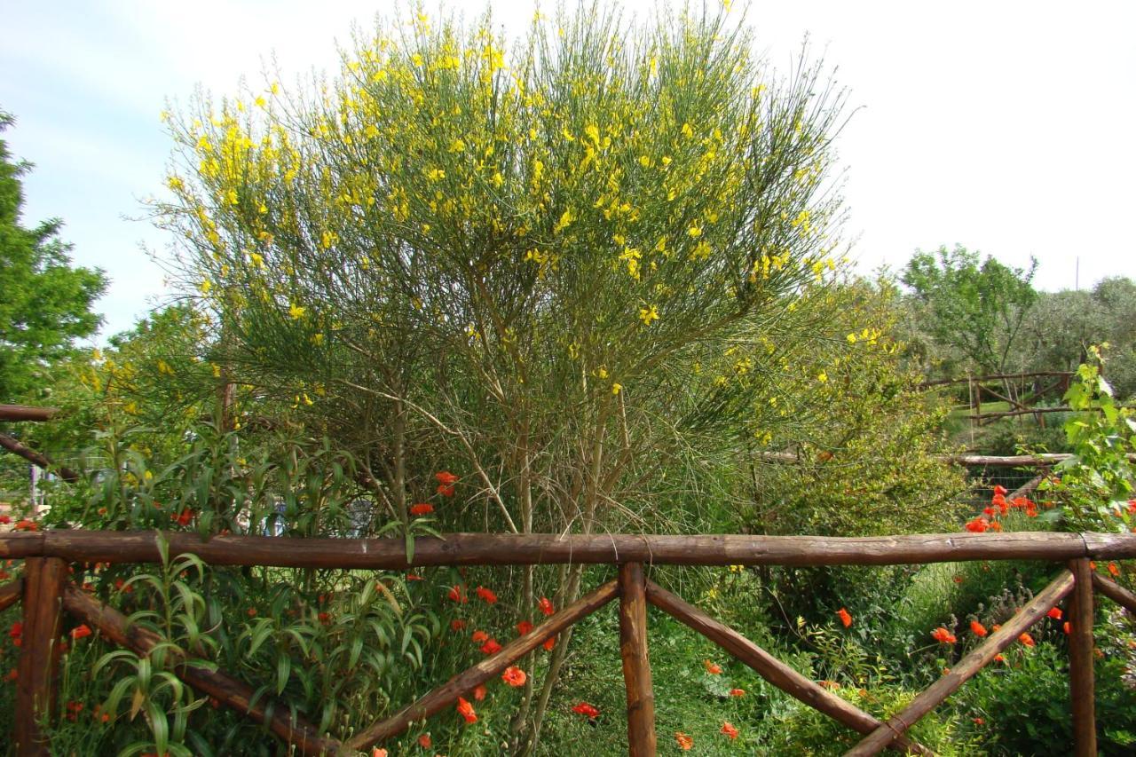 Casa Natura San Gimignano Buitenkant foto